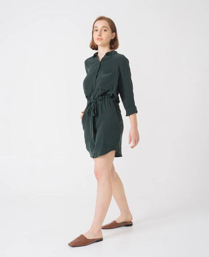 Silk Shirt Dress