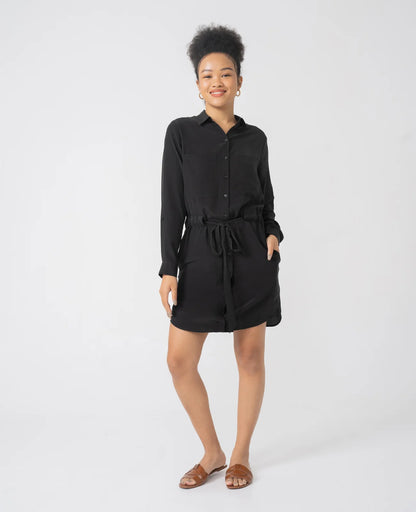 Silk Shirt Dress